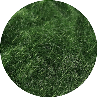 3MM Static Grass for Modelling Multi Colors Optional 120g #1003