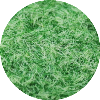 Mini Grass Static KILOKITS 3MM Static Grass for Modelling Multi-Colors Optional 120g ...
