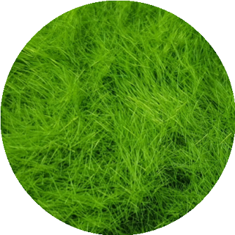 Mini Grass Static KILOKITS 3MM Static Grass for Modelling Multi-Colors Optional 120g ...