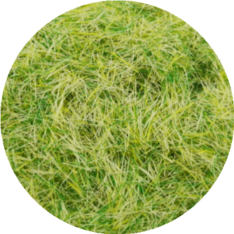 Mini Grass Static KILOKITS 5MM Static Grass for Modelling Multi Colors Optional 25g ...