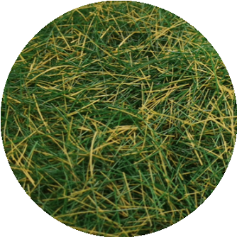 8MM Static Grass for Modelling Multi Colors Optional 25g #1014