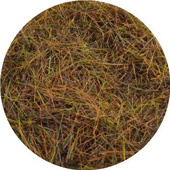 8MM Static Grass for Modelling Multi Colors Optional 25g #1014